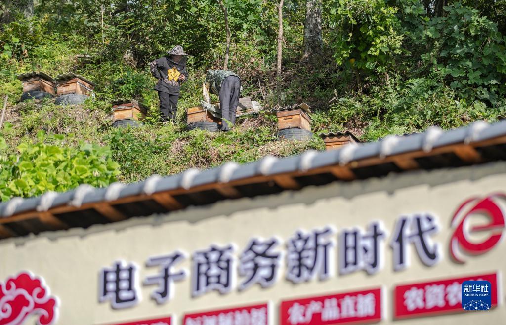 广东珠海金江娱乐